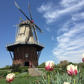 Holland
